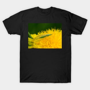 Wall Art - Lacewing Resting - art print T-Shirt